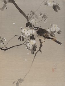 Birds on a Flowering Branch by Watanabe Seitei