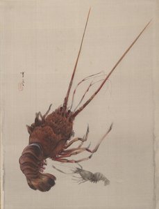 Crayfish