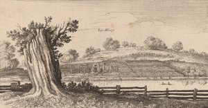 Albury, 1645 by Wenceslaus Hollar