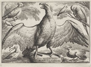 Eagle (Various Birds) by Wenceslaus Hollar