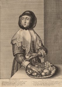 Autumn by Wenceslaus Hollar
