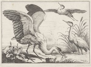 Three Herons
