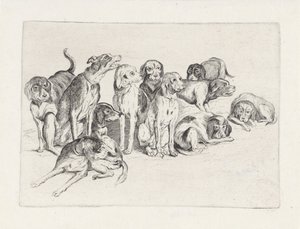 Eleven Hunting Dogs by Wenceslaus Hollar