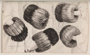 A Muff Seen in Five Different Ways by Wenceslaus Hollar