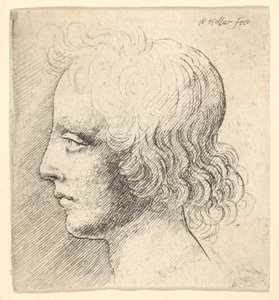 Head of Young Man by Wenceslaus Hollar