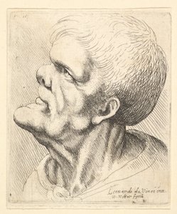 Head of a Man with Protruding Chin and Snub Nose Looking Upwards in Profile to Left by Wenceslaus Hollar
