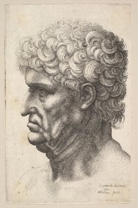 Head of a Man with Thick Curly Hair in Profile to the Left by Wenceslaus Hollar