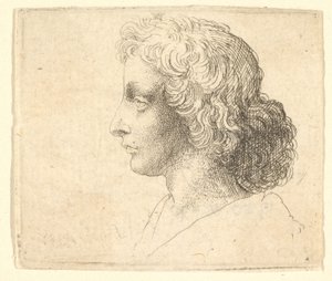 Head of Young Man with Long Hair in Profile to the Left, 1644-52 by Wenceslaus Hollar