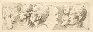 Head studies
