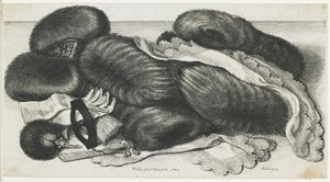 Muffs and Articles of Clothing on a Table by Wenceslaus Hollar