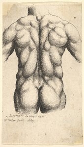 Naked Male Torso Seen from Behind by Wenceslaus Hollar