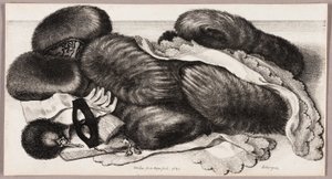 Still-Life with a Group of Muffs, a Pair of Gloves, and Two Kerchiefs by Wenceslaus Hollar