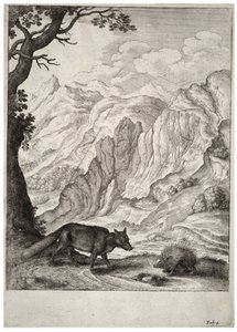 The fox and the porcupine (State 2)