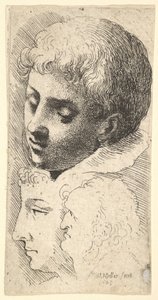 Three Heads by Wenceslaus Hollar