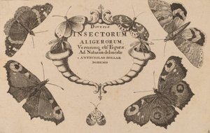 Title Page