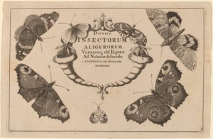 Title Page