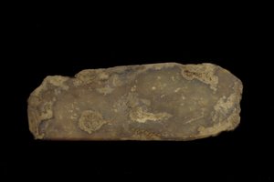 Fragment of a Ceremonial Weapon