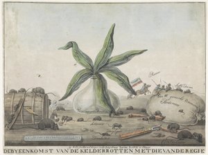 Caricature of the French Customs, 1813-1814 by Wijnand Esser