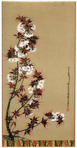 The Cherry Blossoms of Mikawa