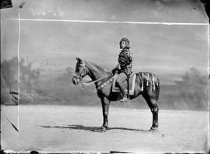 Unknown Aristocrat by Wilhelm J. Burger
