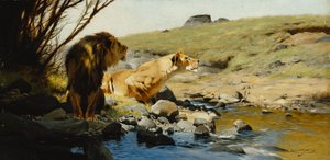 A Lion and Lioness at a Stream