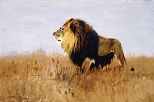 Lion Watching for Prey by Wilhelm Kuhnert