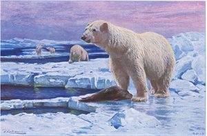 Polar Bear by Wilhelm Kuhnert