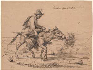Striving for the ideal. Italian donkey rider drives the animal forward by holding a wisp of hay on a stick in front of its nose