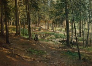 Forest Landscape