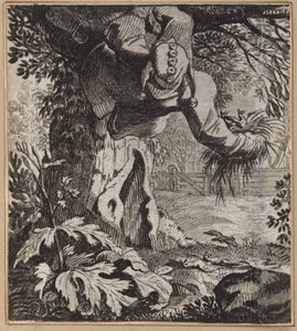 The Audacious Fool by Wilhelm Stettler