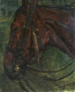 Horse Head