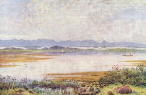At Lakeside, Looking South-East