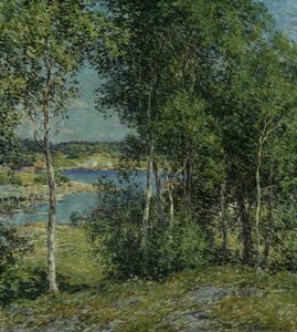 A Family of Birches by Willard Leroy Metcalf