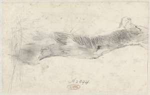 Study of a Tree