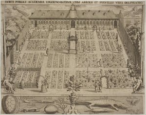 The Botanical Garden in Leiden