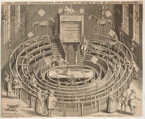 The Anatomical Theatre Hall in Leiden