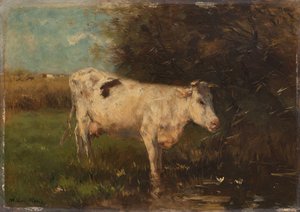 White Cow