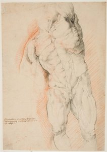 Anatomical Study (écorché). Front View of Standing Flayed Man, His Left Arm Raised by Willem Panneels