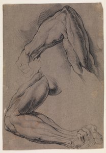 Anatomical Study. Two studies of a man