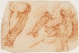 Laocoon. Studies of Laocoon