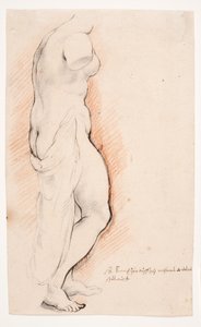 Venus. Antique Statue Seen from the Right by Willem Panneels