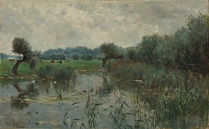 Water Meadows on the River IJssel