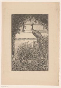 Sitting and Standing Peacock in Nature by Willem Scherjon