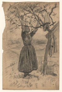 Woman Hanging Laundry in a Tree, to the Right