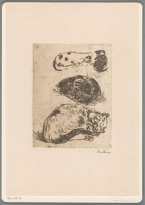 Study of Cats by Willem de Zwart (signed by artist)