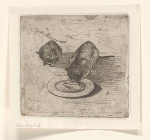 Two Cats, One Drinking from a Plate by Willem de Zwart