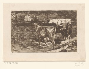Four Cows in a Meadow