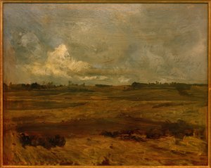 Landscape in North Brabant