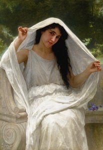 The Veil