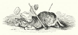 Death of the Wolf